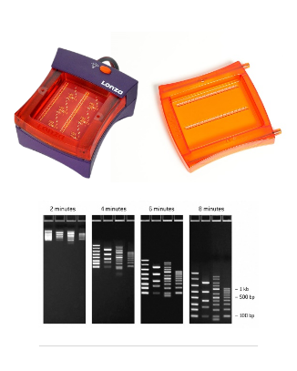 FlashGel™ DNA Starter Kit-Lonza