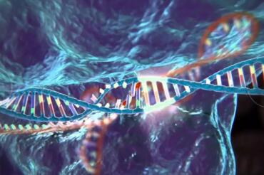 基因编辑技术CRISPR应用新进展与挑战