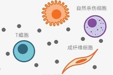 IsoPlexis单细胞功能蛋白组技术——开启单细胞免疫功能新视界