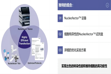 电转百科指南③：手把手教程来了，20种常用细胞的实验方案