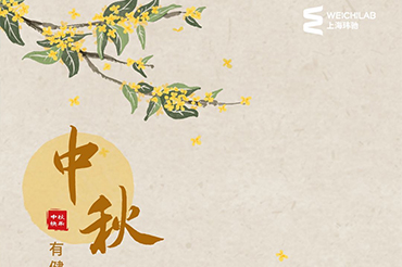 秋已至，一缕桂香，醉芬芳，月上中秋