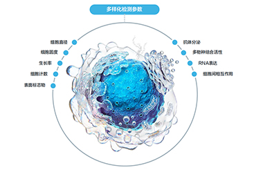 Beacon®细胞株开发解决方案