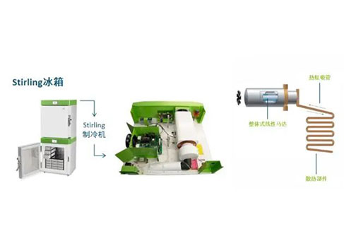 斯特林技术帮您打破传统超低温冰箱的困扰