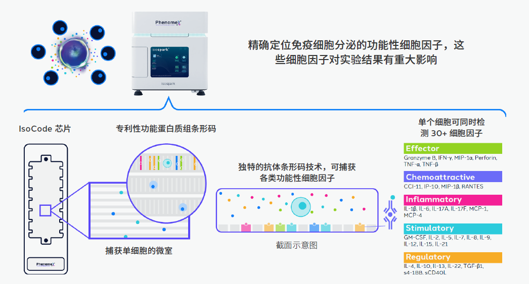 联合使用IsoSpark™和Beacon®平台进行生物标志物发现和T细胞分析