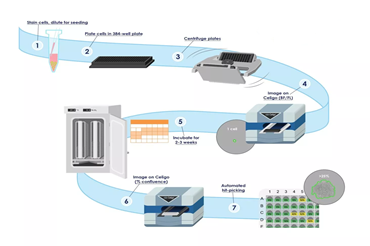 化繁为简，释放人工！细胞株开发自动化整体解决方案
