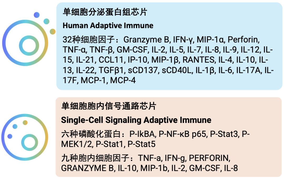 Cancer Immunol Res｜单细胞蛋白组学探索实体瘤TCR-T临床生物标志物