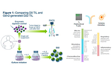 首个TIL疗法获批 | 看IsoPlexis单细胞功能蛋白组如何助力TIL功能评估