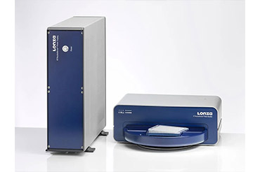 Lonza 384孔高通量电转对SAECs进行自动阵列CRISPR筛选，赋能新药研发