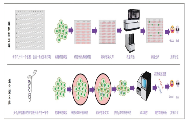 瑞孚迪Opera高内涵平台RNAi筛选助力lncRNAs的功能基因组学研究