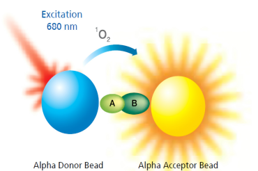 ALPHA 高灵敏度均相检测技术：药物研发的强大工具