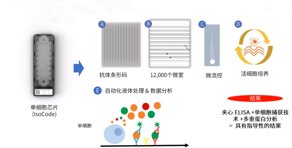 你知道有多少种方法可以检测细胞因子吗（下）