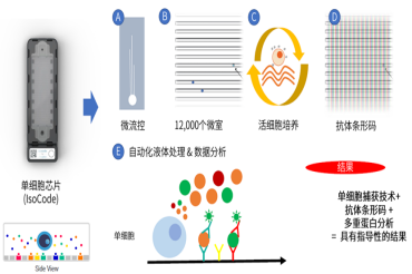 实现完全的单细胞功能表征——IsoPlexis 单细胞功能蛋白组技术介绍！