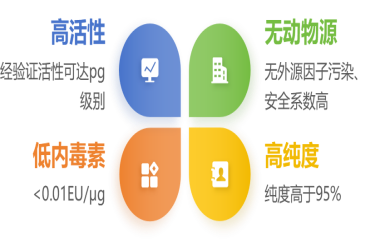 类器官小课堂第二弹 | 肿瘤类器官模型如何构建？关键细胞因子全解析！
