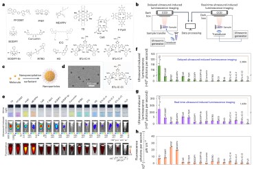 IVIS视角丨突破“光”的局限！这项成像技术让小动物深层肿瘤“无所遁形”