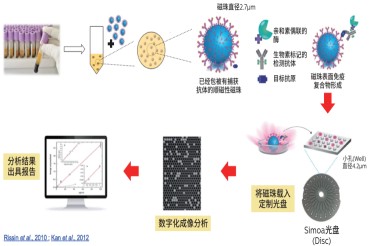 Nature子刊研究揭示tau蛋白与白质损伤序列,精准医疗再进一步,看Simoa技术如何通过一滴血预测脑部病变