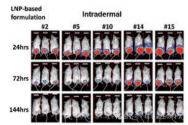 瑞孚迪自动化方案:推动兽用mRNA疫苗研发进入