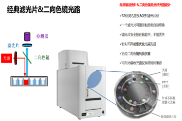 瑞孚迪DELFIA+VICTOR Nivo酶标仪,提供“金标准”细胞增殖与毒性解决方案,让您实验更高效、更灵敏、更简单!